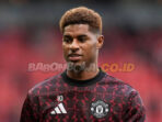 BabonBola 43